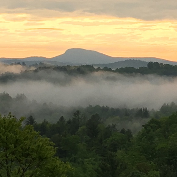 Meet your Posher, Audrey - Picture 12 of 14